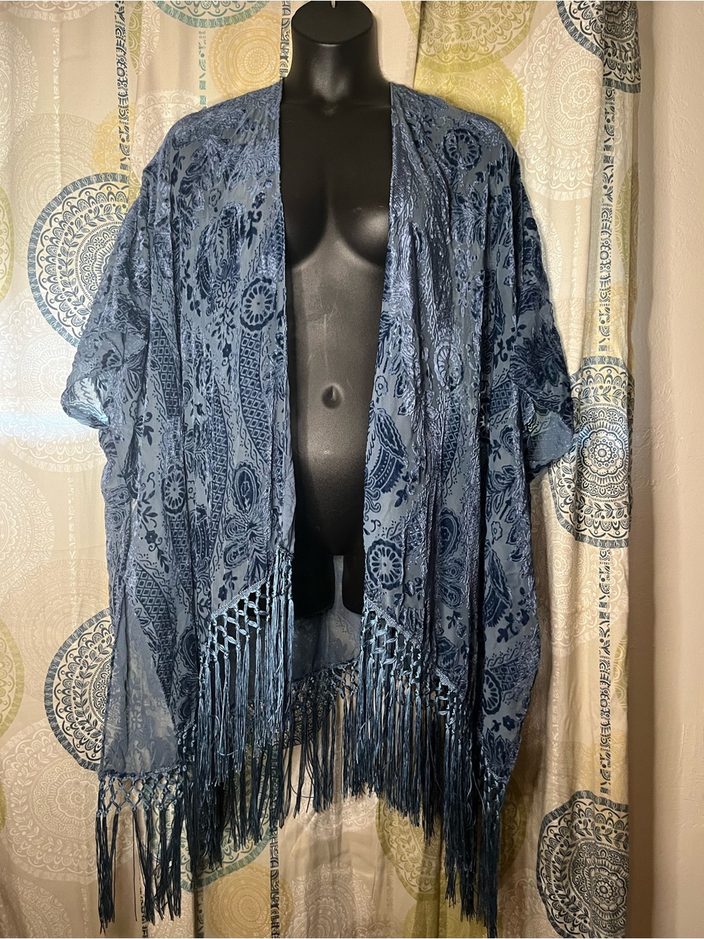 Altar'd State Blue Velvet Burnout Fringe Kimono